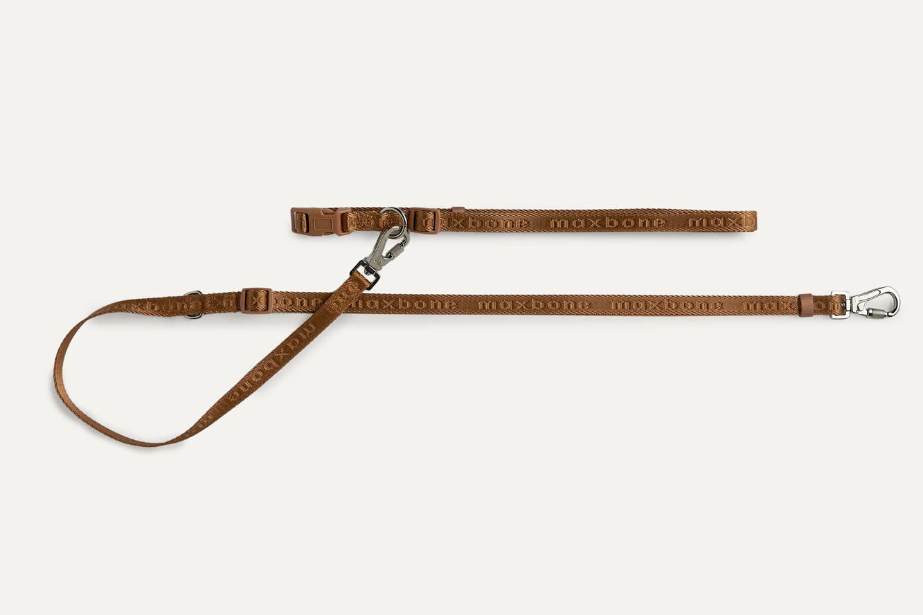 Mini GO! With Ease Hands-Free Leash for Dogs