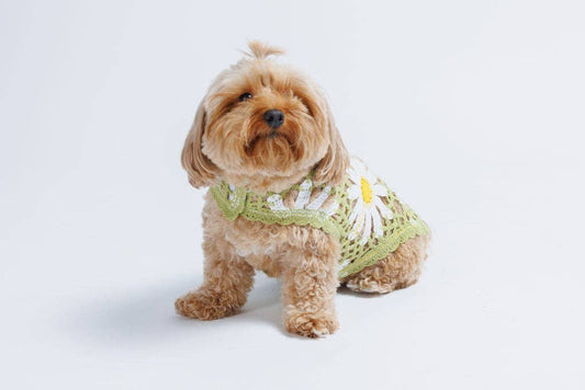 Sunshine Crochet | Handcrafted Dog Top