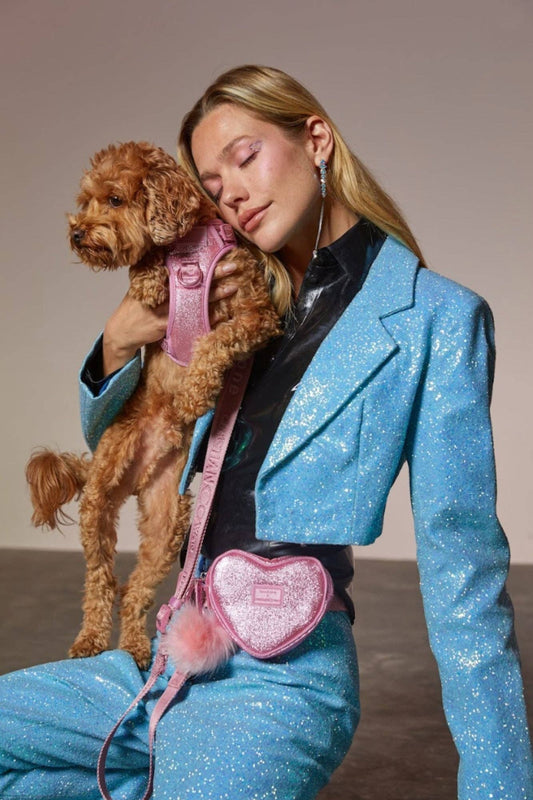 Christian Cowan x maxbone Glitz Dog Walk Set