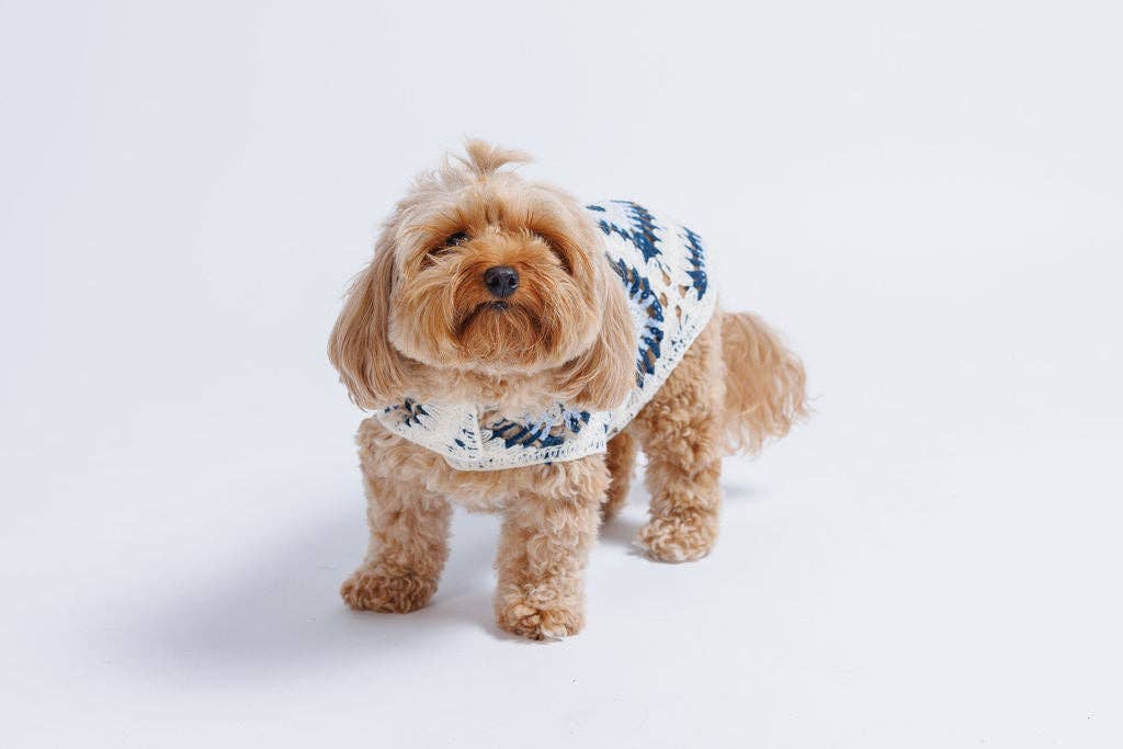 Nazar Crochet | Handcrafted Dog Top