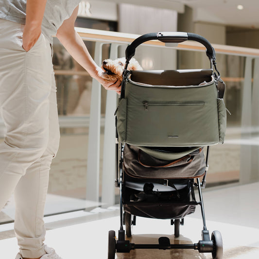 Breeze Picnic & Stroller Bag | Dog Walking Bag | Olive