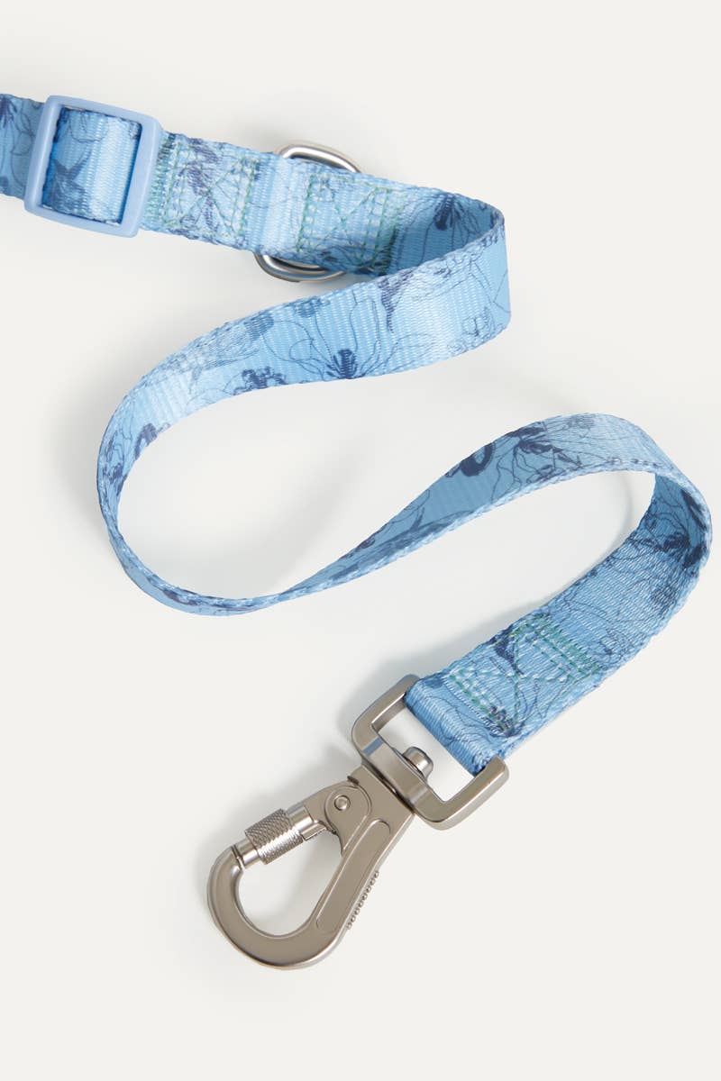 Bridgerton x maxbone Dog Walk Set