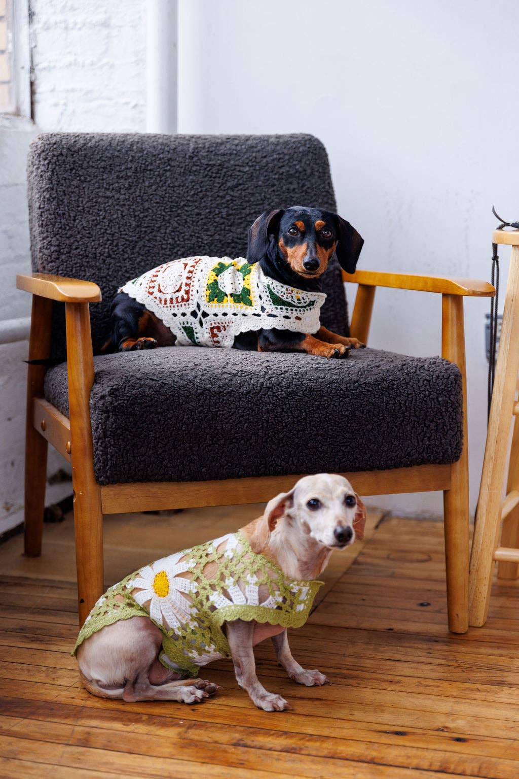 Sunshine Crochet | Handcrafted Dog Top