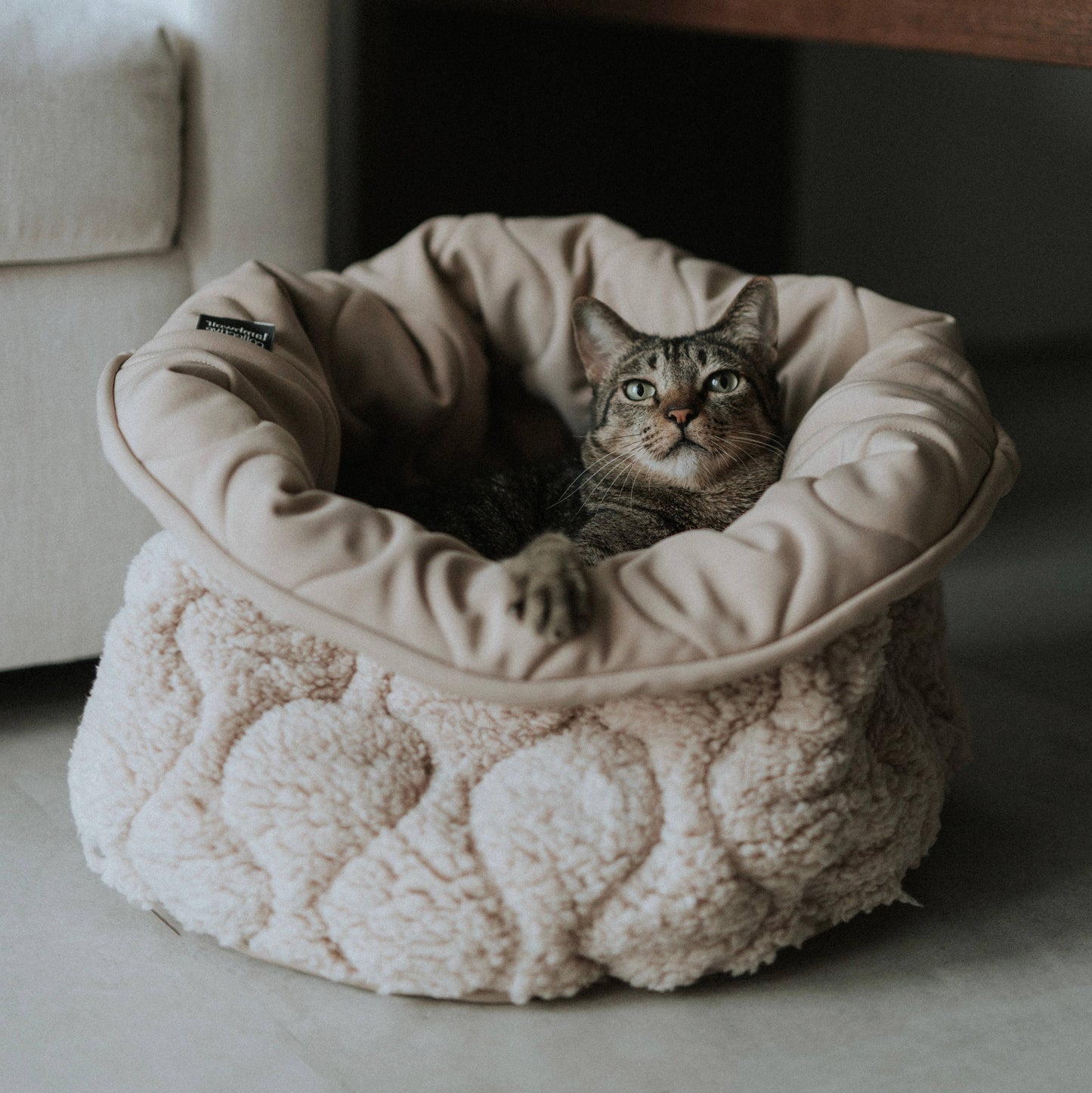 TAART Donut Bed