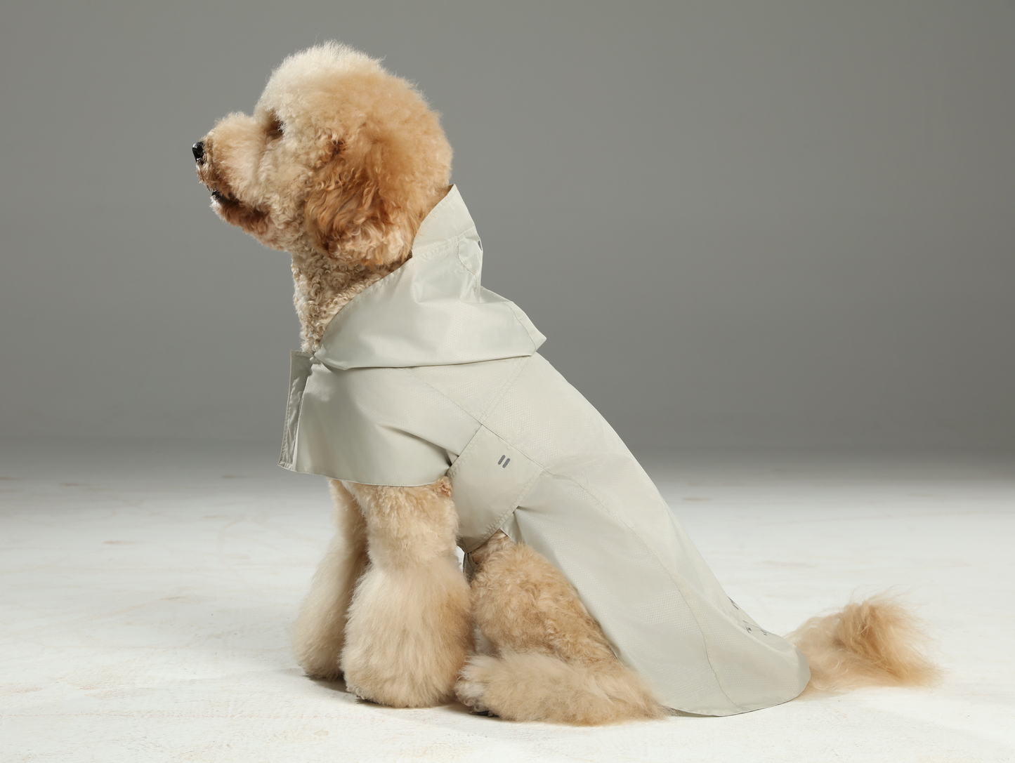 Dog wearing a light gray raincoat on a neutral background