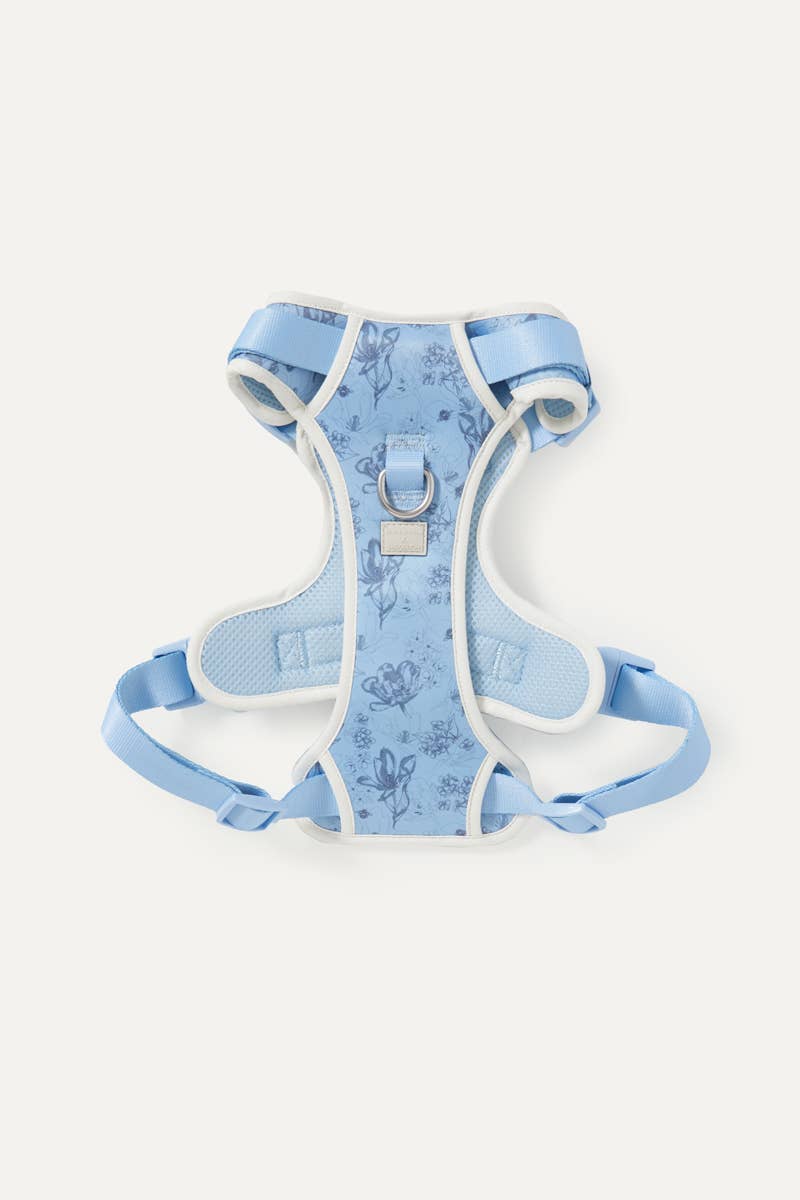 Bridgerton x maxbone Dog Walk Set