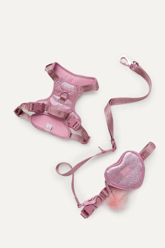 Christian Cowan x maxbone Glitz Dog Walk Set