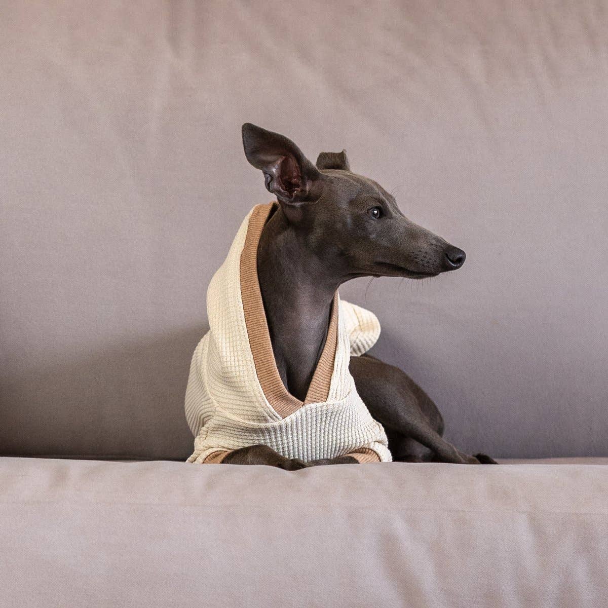 Organic Cotton Waffle Hoodie