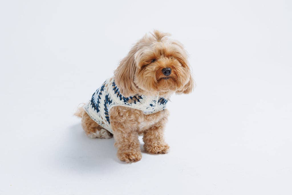 Nazar Crochet | Handcrafted Dog Top