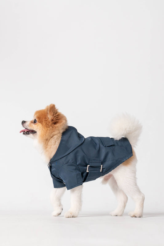 Classic Raincoat in Blue