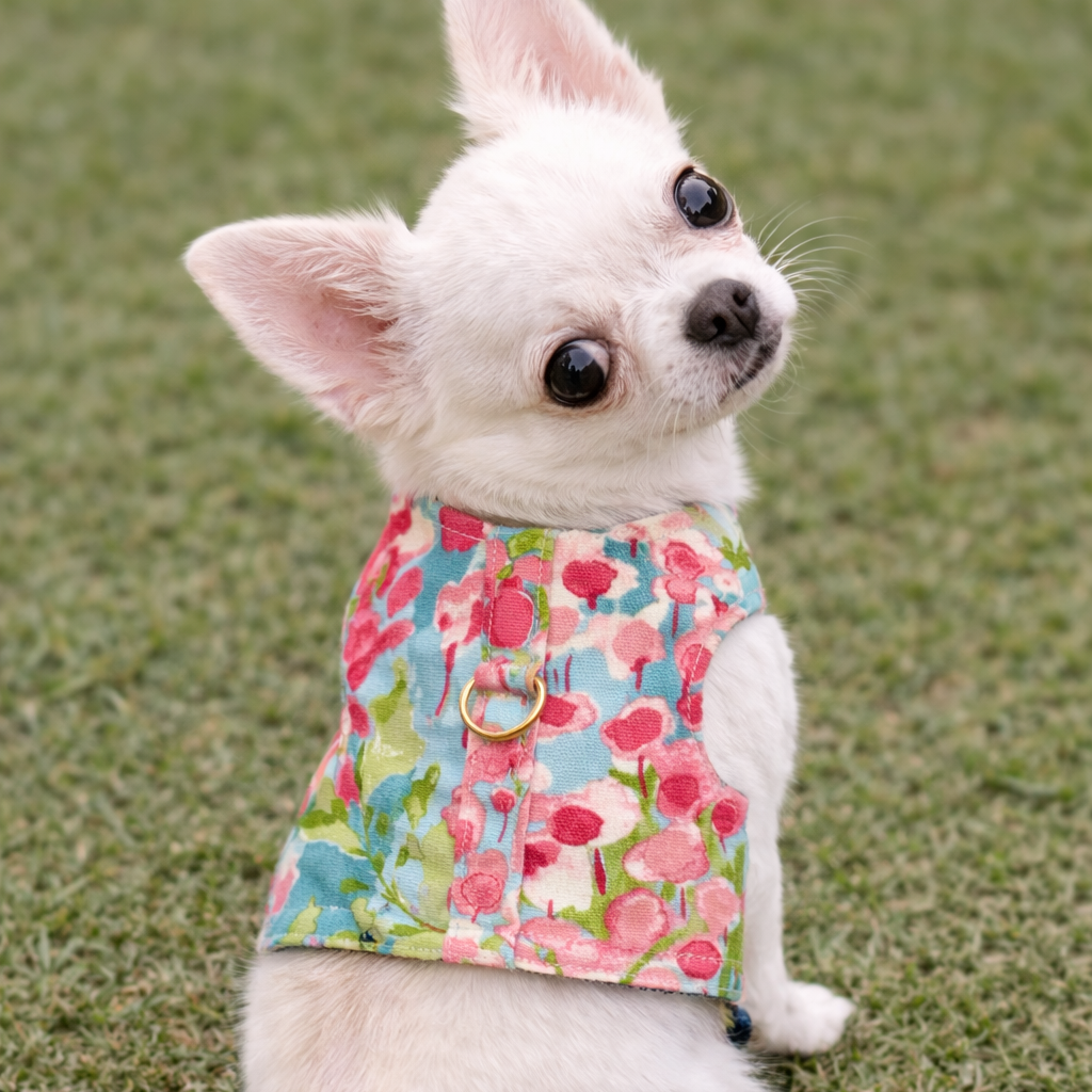 Luxury Watercolor Harness
