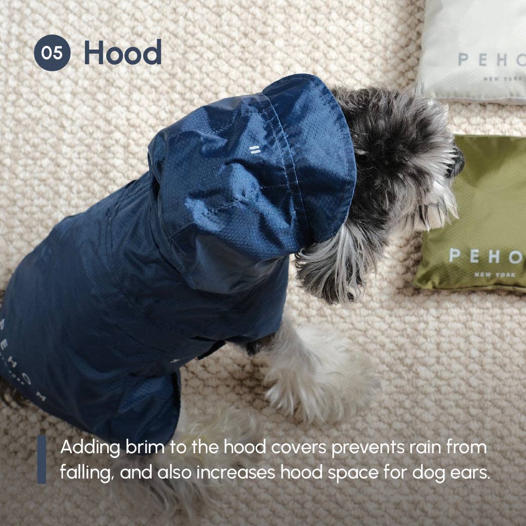 Dog wearing a blue raincoat with a hood on a carpeted floor.