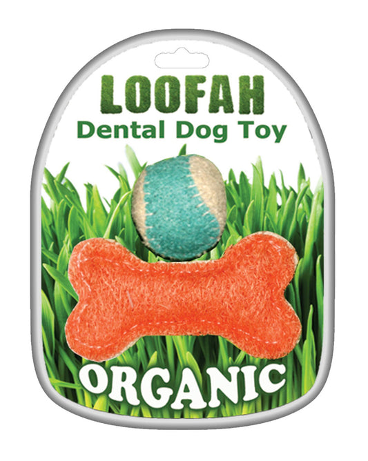 Organic Vegetable Dental Toy - Playtime Set Small