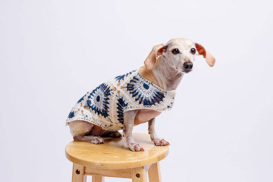 Nazar Crochet | Handcrafted Dog Top