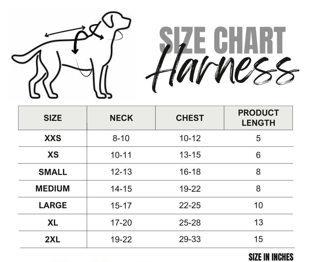 Equestrian Harness