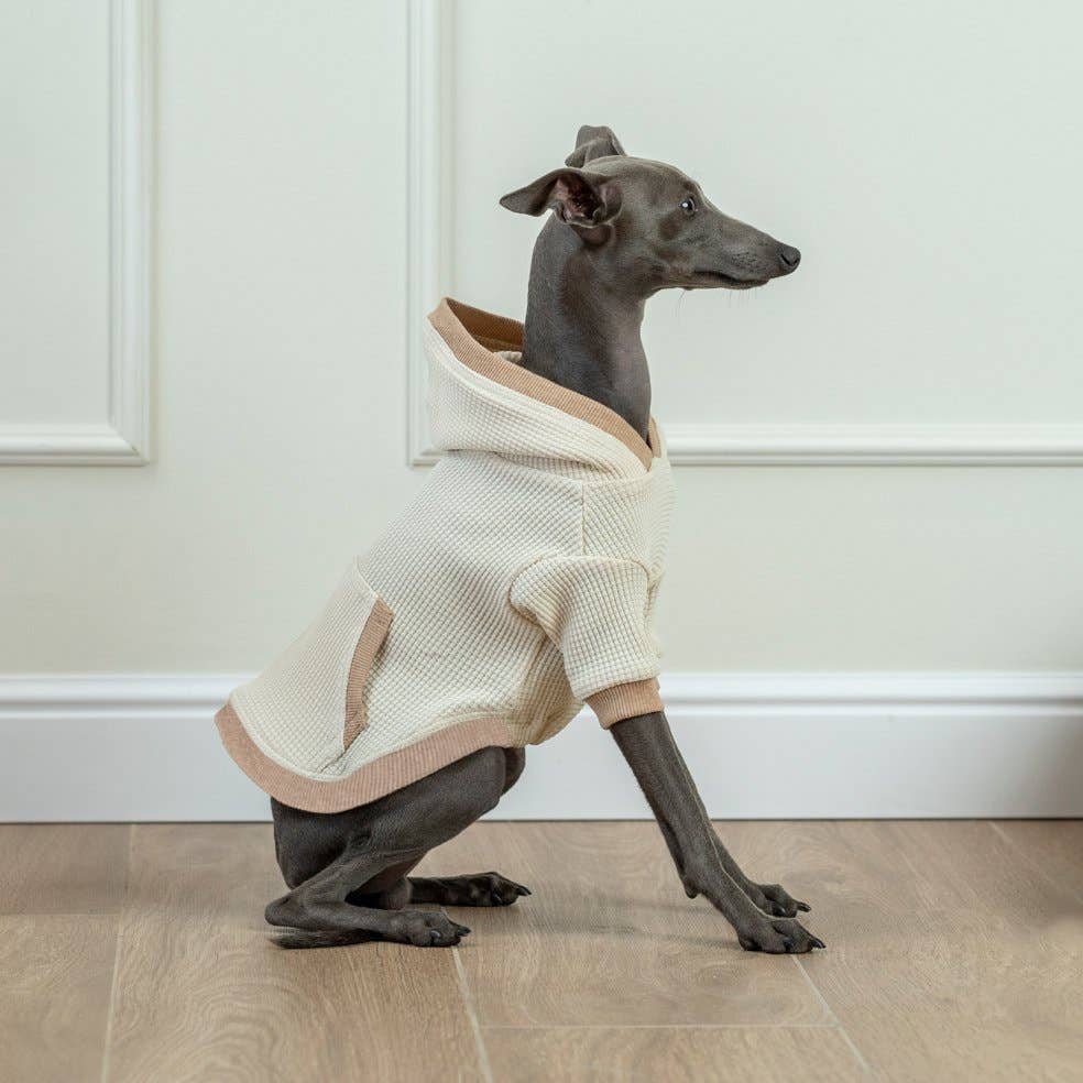 Organic Cotton Waffle Hoodie