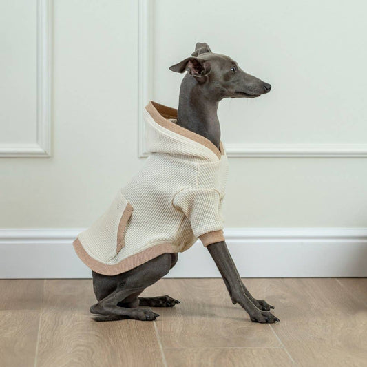 Organic Cotton Waffle Hoodie