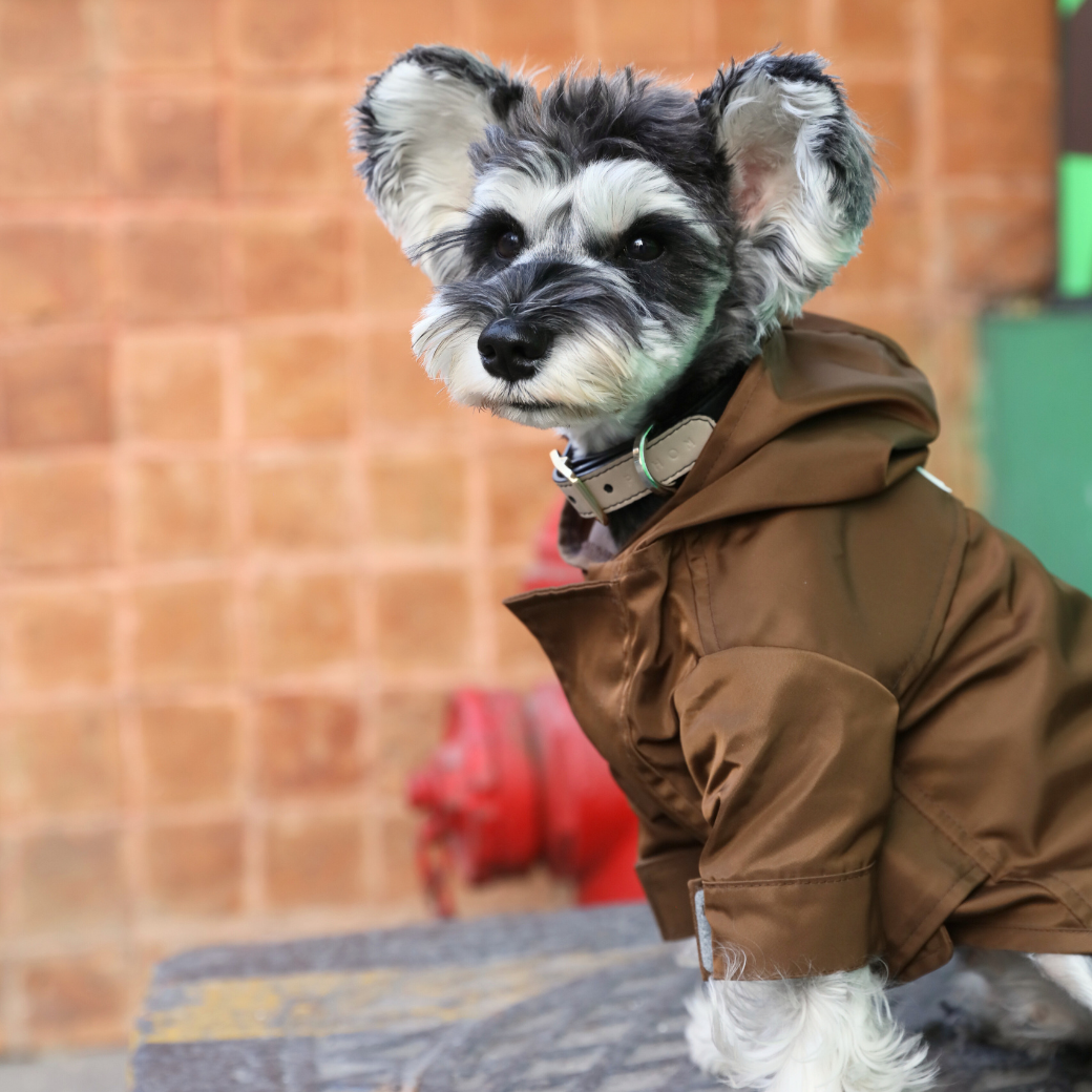 The Tribeca Raincoat | Choco
