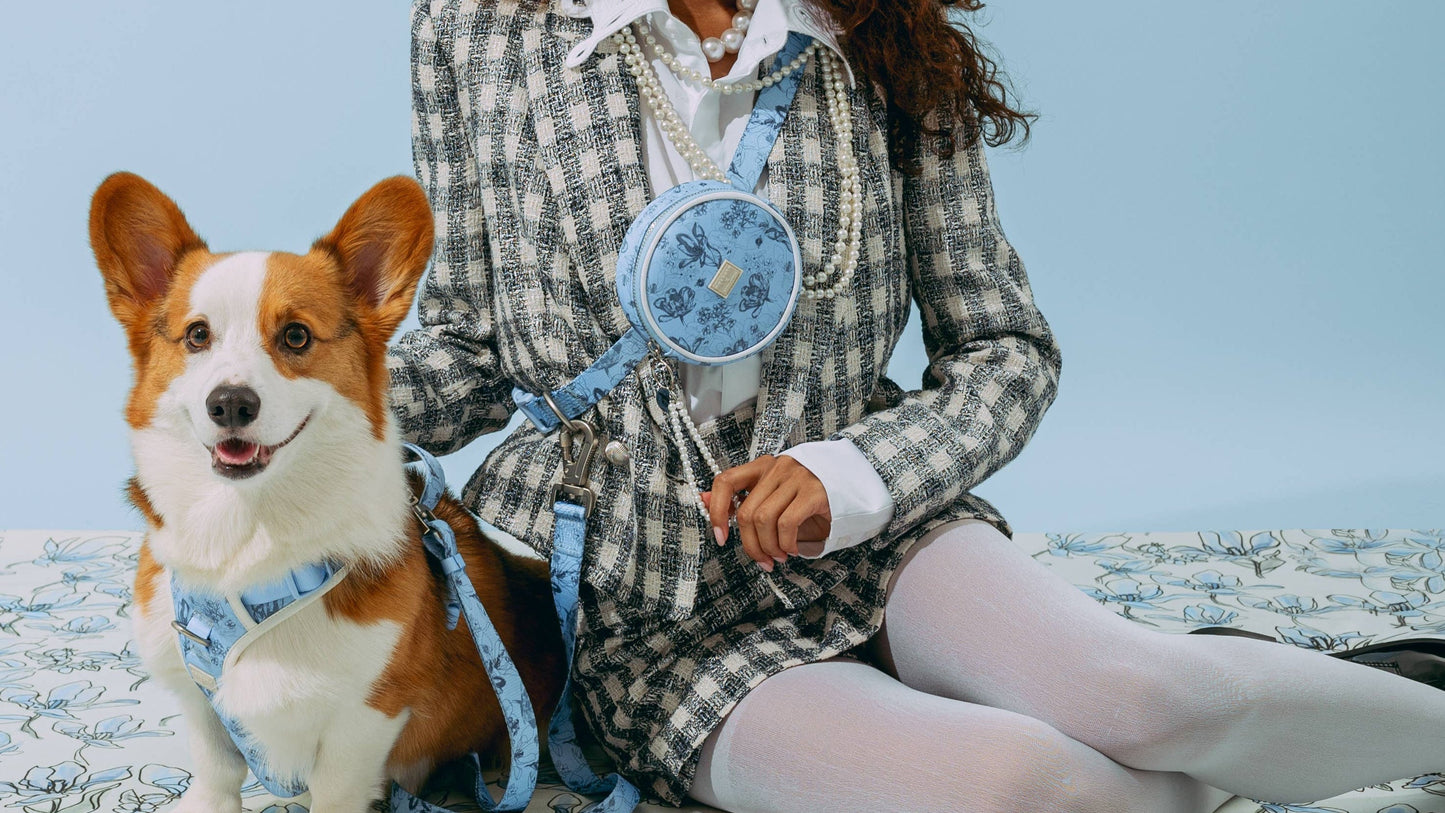 Bridgerton x maxbone Dog Walk Set
