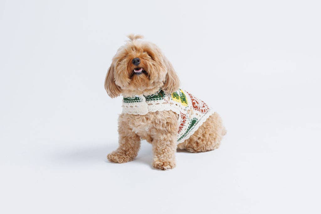Cherry Crochet | Handcrafted Dog Top