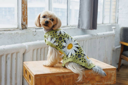 Sunshine Crochet | Handcrafted Dog Top