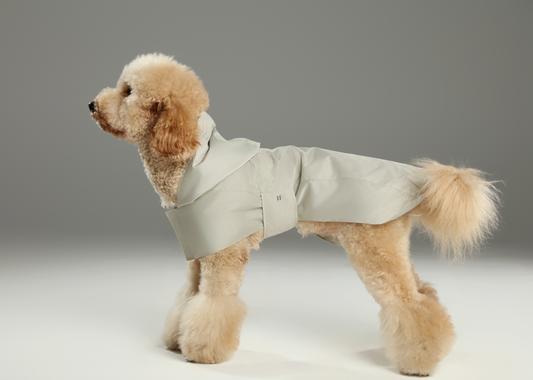 Dog wearing a light gray raincoat on a plain background