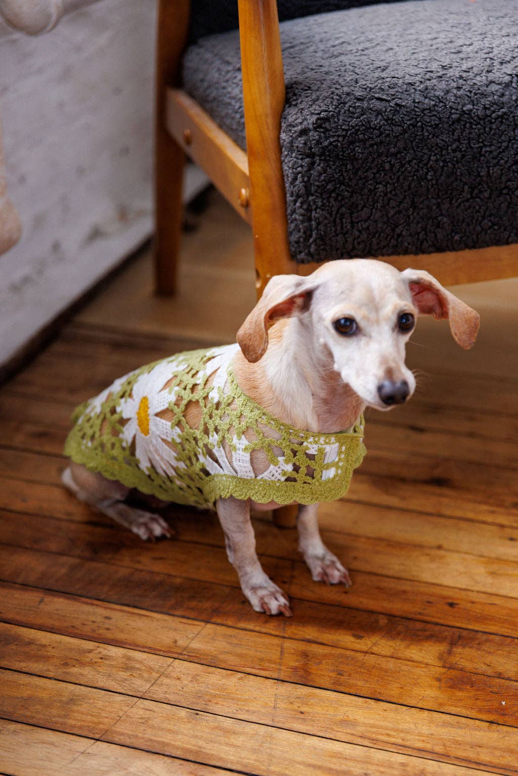 Sunshine Crochet | Handcrafted Dog Top