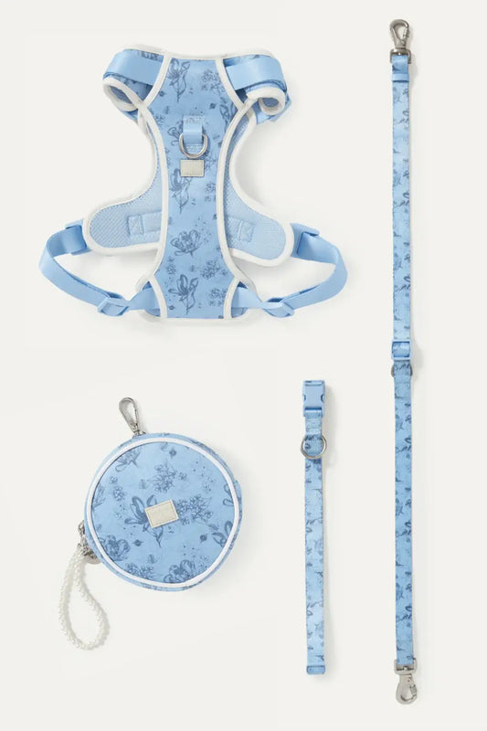Bridgerton x maxbone Dog Walk Set