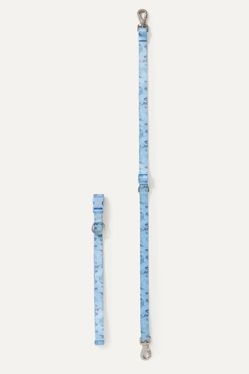 Bridgerton x maxbone Dog Walk Set