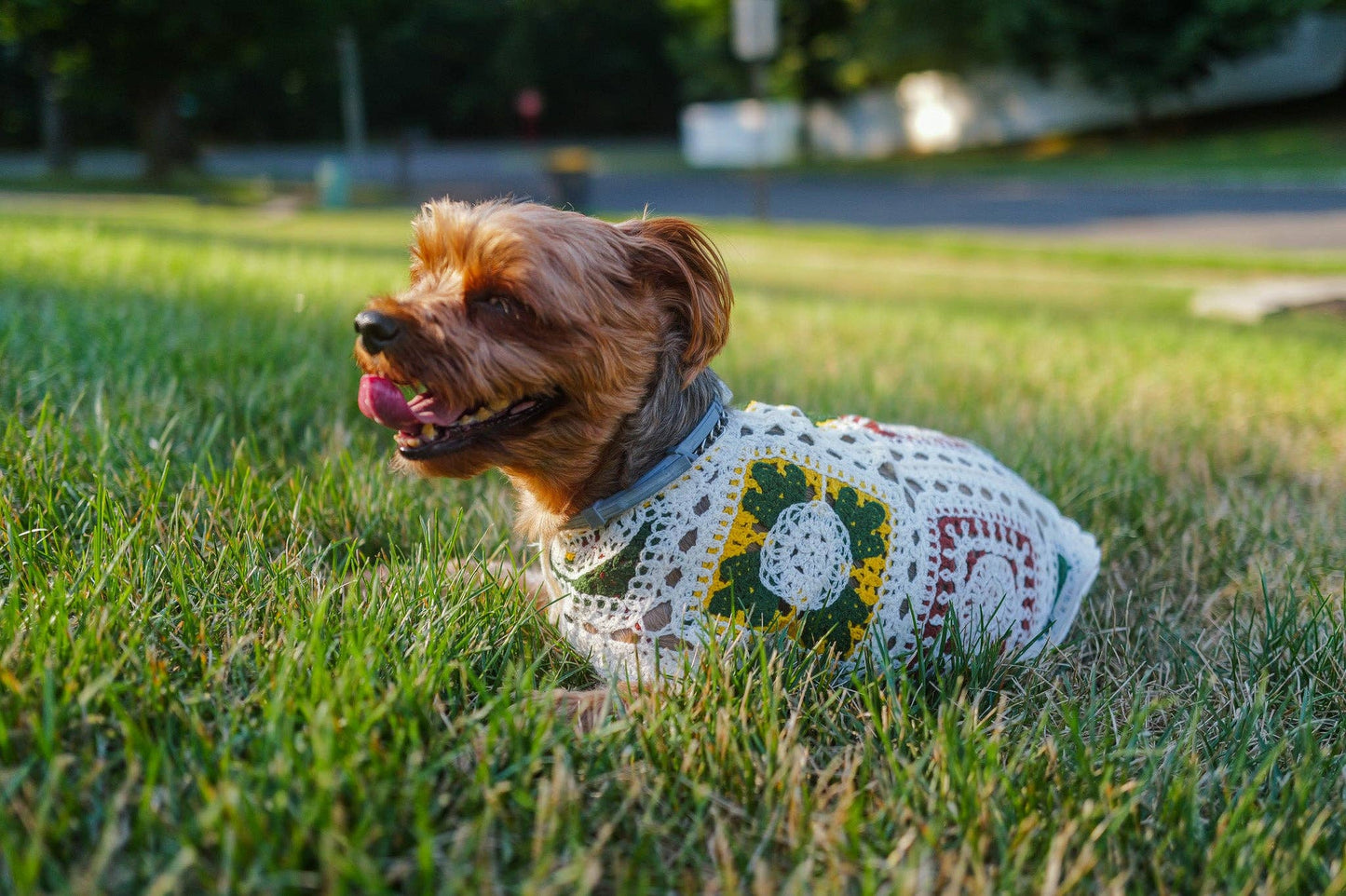 Cherry Crochet | Handcrafted Dog Top