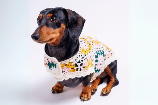 Bubblegum Crochet | Handcrafted Dog Top