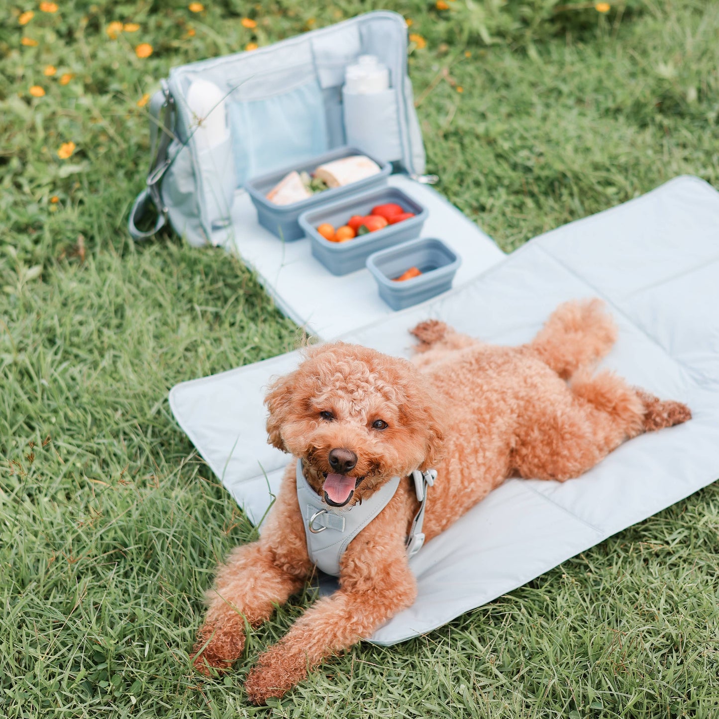 Breeze Picnic & Stroller Bag | Dog Walking Bag | Olive