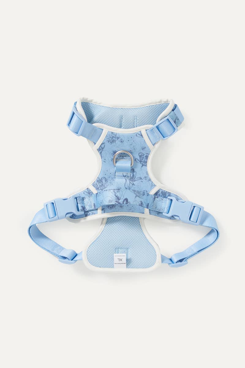 Bridgerton x maxbone Dog Walk Set
