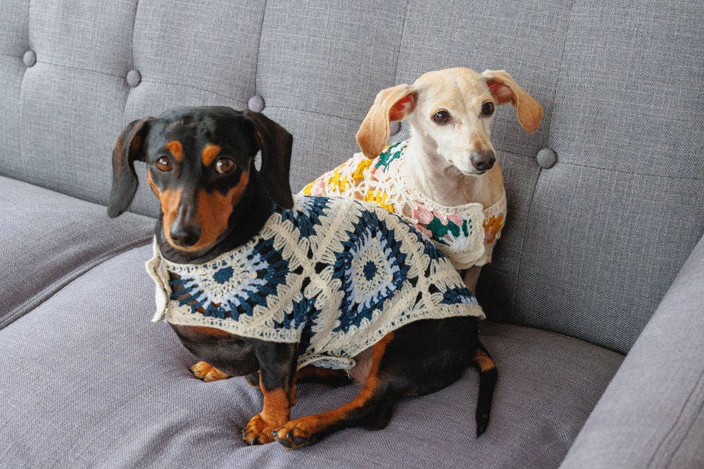 Nazar Crochet | Handcrafted Dog Top