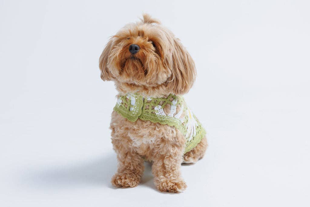 Sunshine Crochet | Handcrafted Dog Top