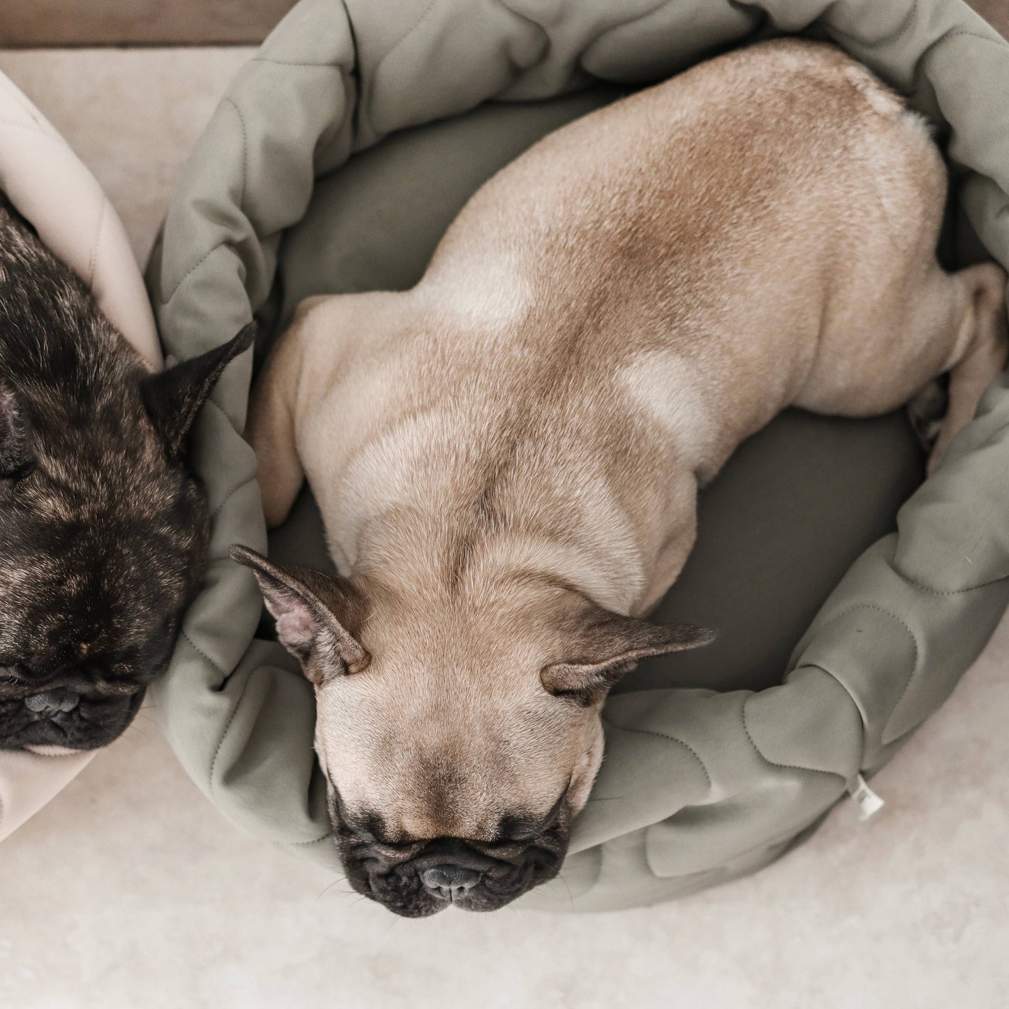 TAART Donut Bed