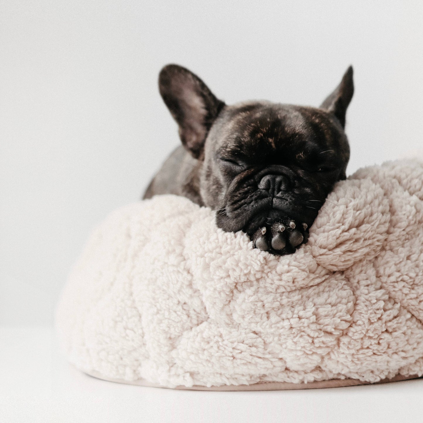 TAART Donut Bed