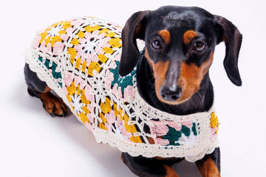 Bubblegum Crochet | Handcrafted Dog Top