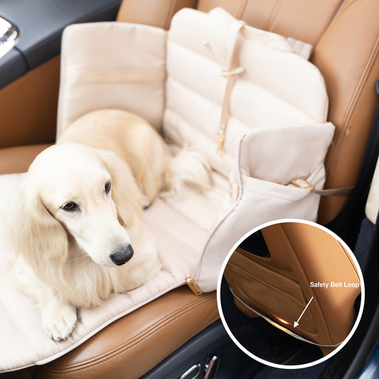 Everywhere Convertible Tote Bag | Dog Carrier