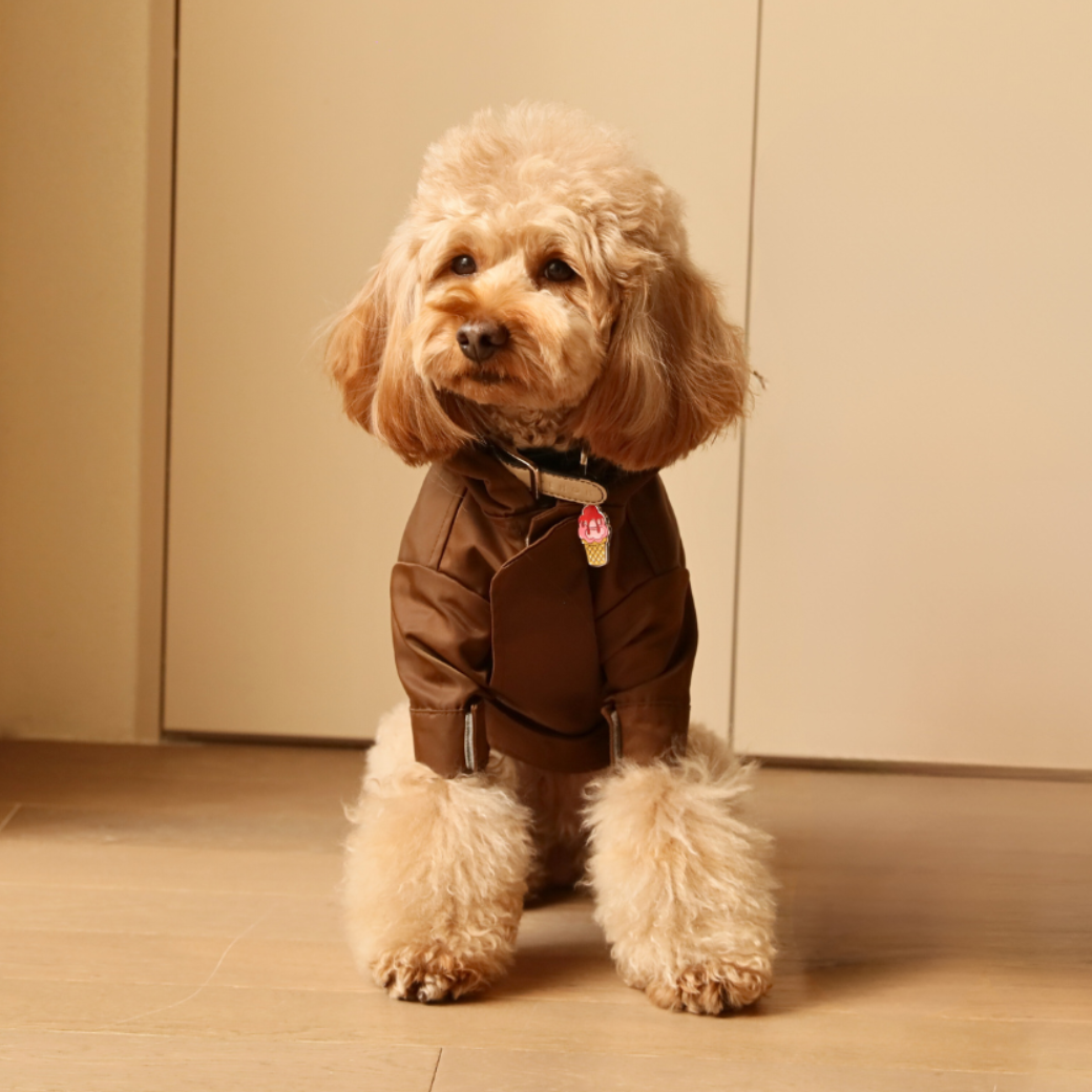 The Tribeca Raincoat | Choco