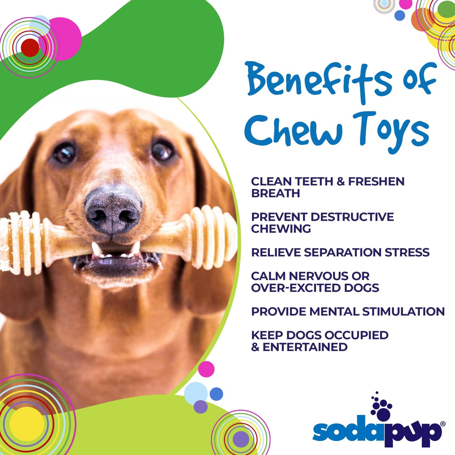 Honey Bone Nylon | Chew Bone for Dogs
