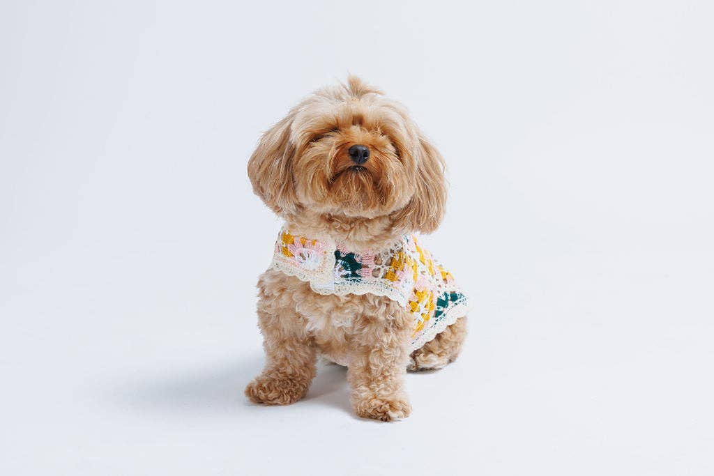 Bubblegum Crochet | Handcrafted Dog Top