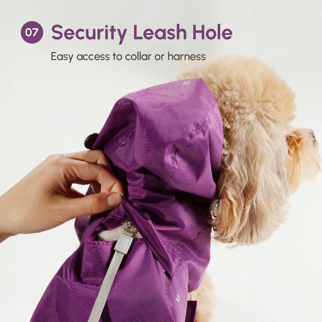 Purple dog raincoat with a security leash hole feature, showing a hand adjusting the leash.