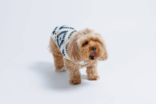 Nazar Crochet | Handcrafted Dog Top