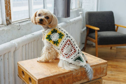 Cherry Crochet | Handcrafted Dog Top