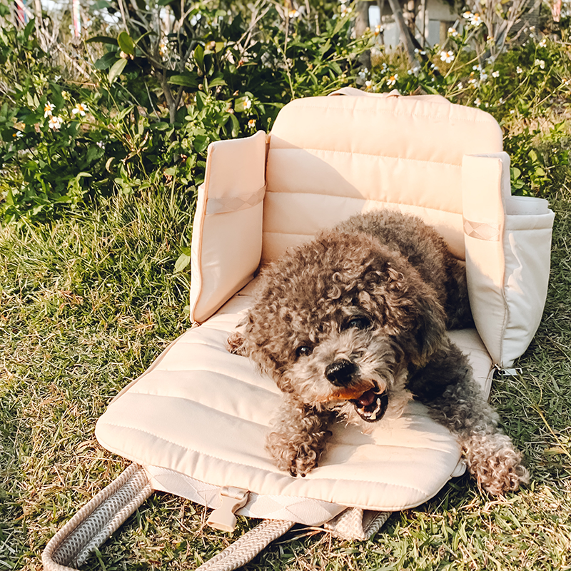 Everywhere Convertible Tote Bag | Dog Carrier