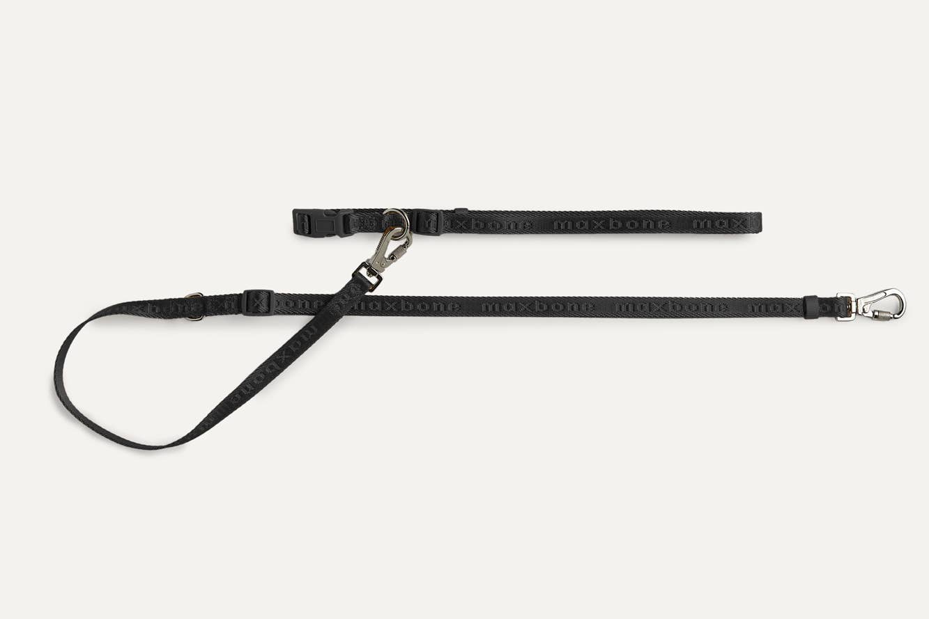 Mini GO! With Ease Hands-Free Leash for Dogs