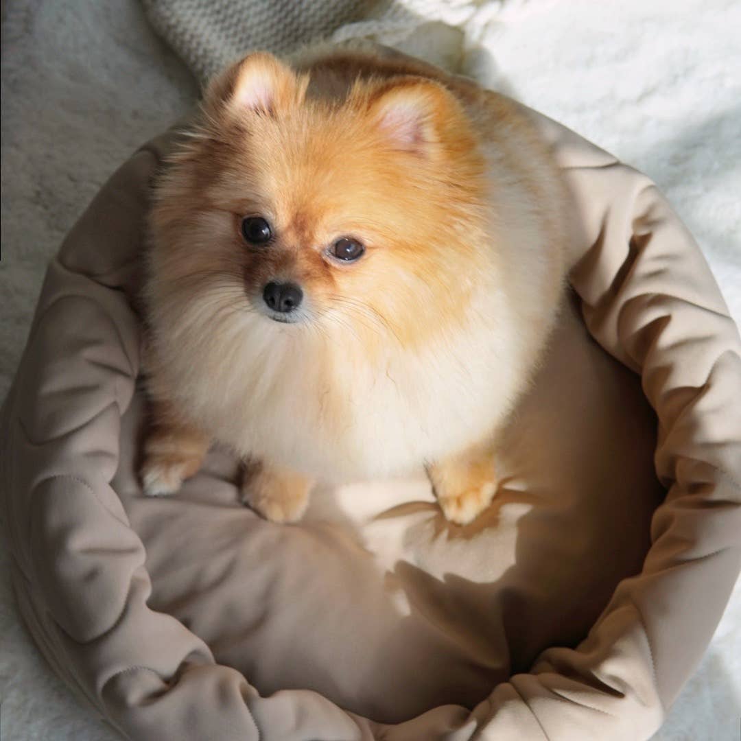 TAART Donut Bed