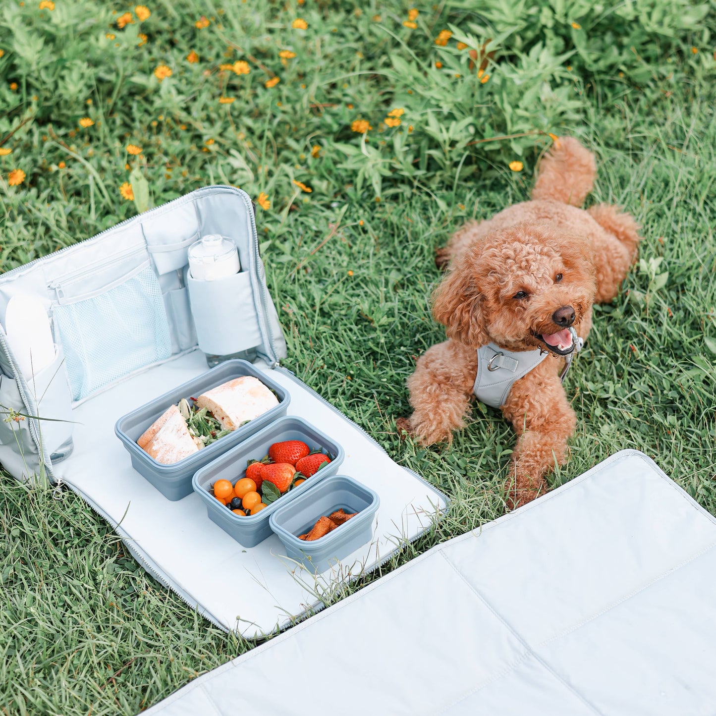 Breeze Picnic & Stroller Bag | Dog Walking Bag | Olive