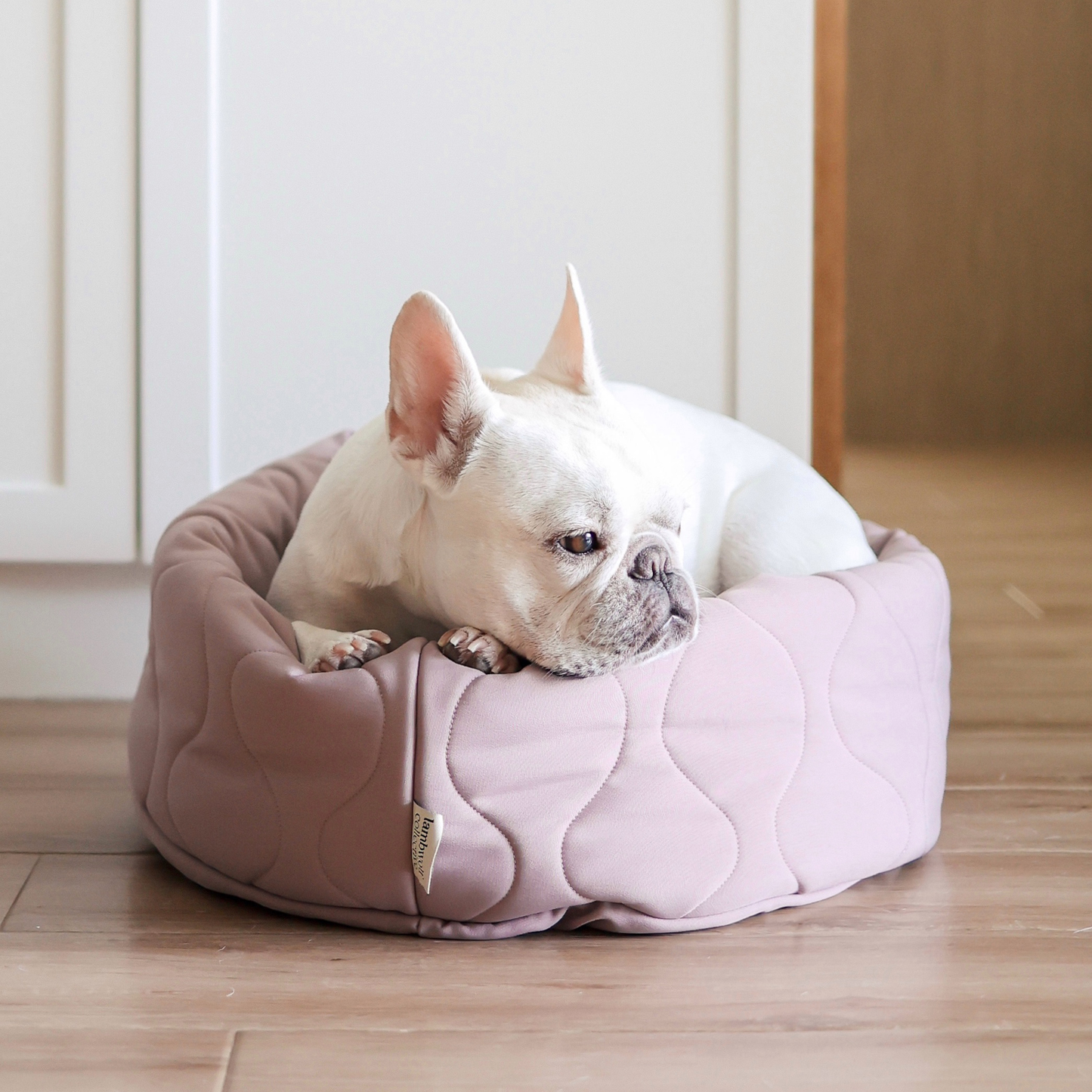 TAART Donut Bed